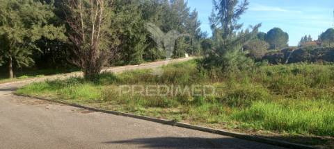 Lote de moradia geminada.