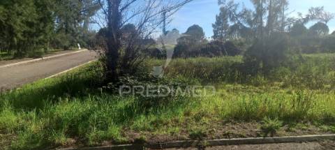 Lote de moradia geminada.