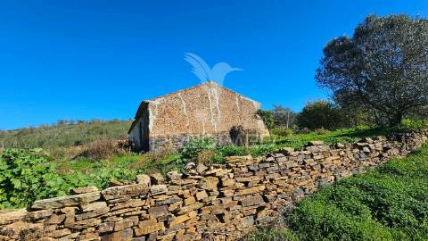 Monte alentejano farrobo barragem santa clara