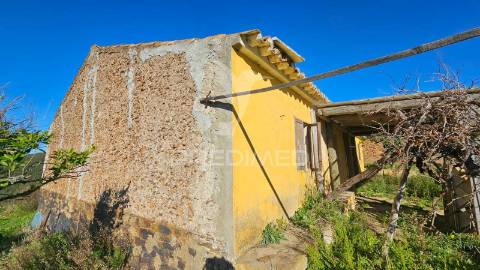 Monte alentejano farrobo barragem santa clara