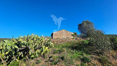 Monte alentejano farrobo barragem santa clara