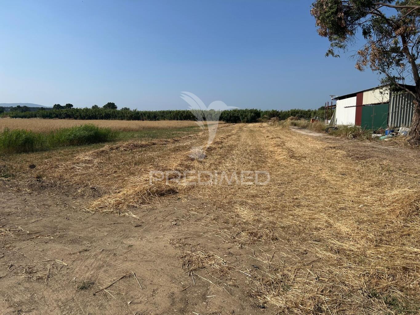 Terreno rústico de 9.200m2 no carregado