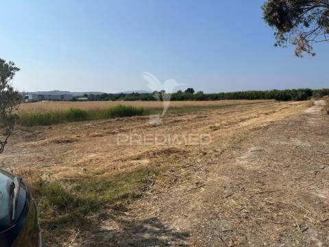 Terreno rústico de 9.200m2 no carregado