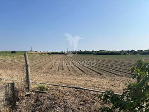 Terreno rústico de 9.200m2 no carregado