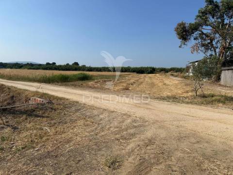 Terreno rústico de 9.200m2 no carregado