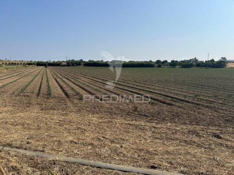 Terreno rústico de 9.200m2 no carregado