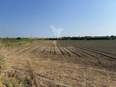 Terreno rústico de 9.200m2 no carregado