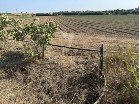Terreno rústico de 9.200m2 no carregado