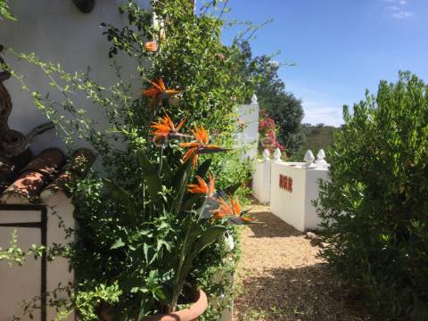 Quinta isolada com piscina localizada em castro da cola, concelho ourique