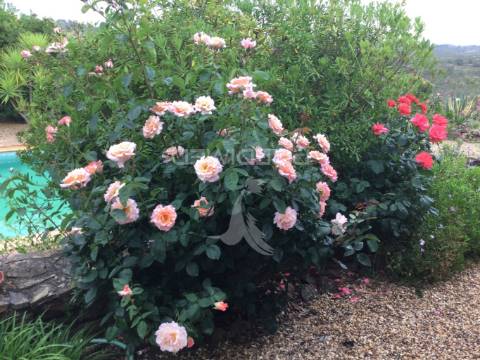 Quinta isolada com piscina localizada em castro da cola, concelho ourique