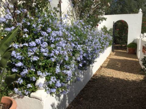 Quinta isolada com piscina localizada em castro da cola, concelho ourique