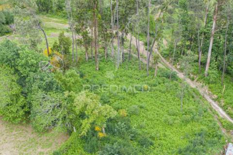 Terreno em gême, vila verde - braga