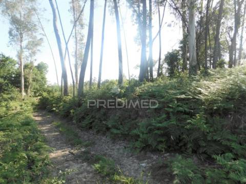Terreno em gême, vila verde - braga
