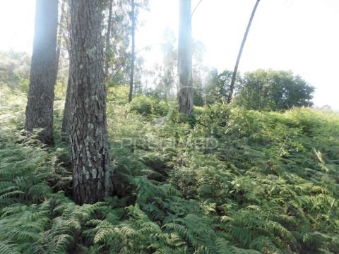 Terreno em gême, vila verde - braga