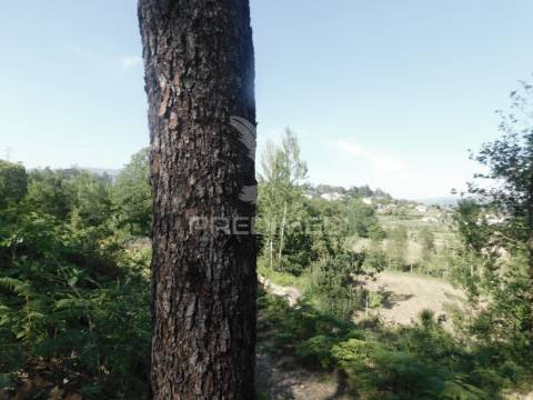 Terreno em gême, vila verde - braga