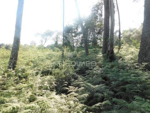 Terreno em gême, vila verde - braga