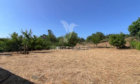 Quinta em são teotónio, a 7 km da praia da zambujeira