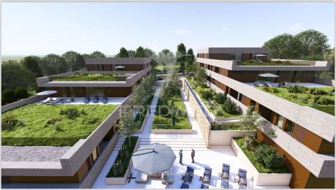 Address house | t2 | terraço + área verde