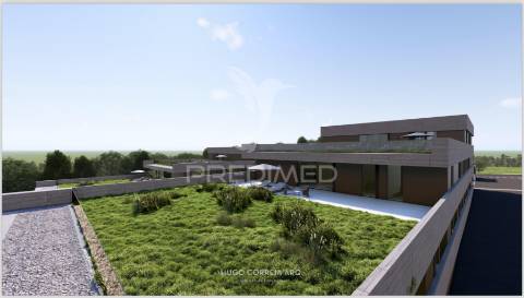 Address house | t2 | terraço + área verde