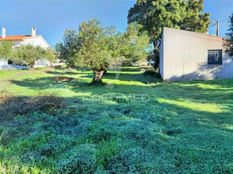Terreno urbano localizado no pedrógão - torres novas