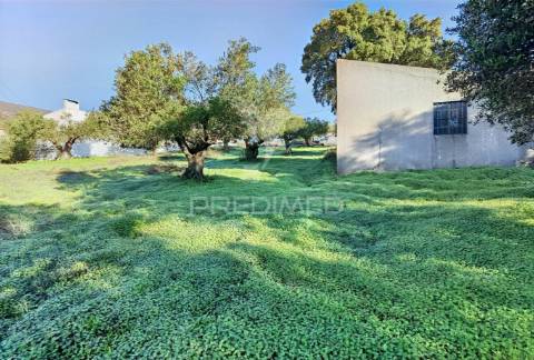 Terreno urbano localizado no pedrógão - torres novas