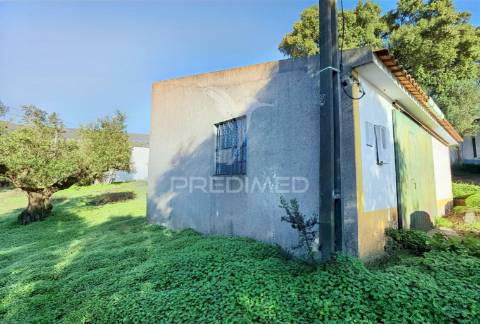 Terreno urbano localizado no pedrógão - torres novas