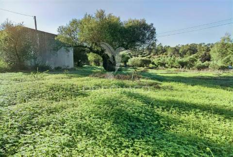 Terreno urbano localizado no pedrógão - torres novas