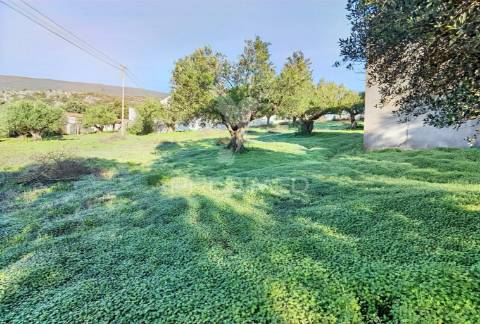 Terreno urbano localizado no pedrógão - torres novas