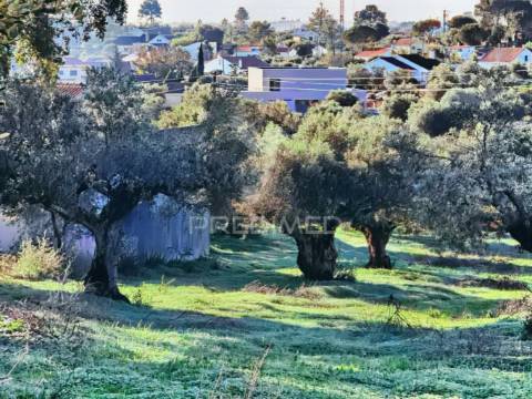 Terreno urbano localizado no pedrógão - torres novas