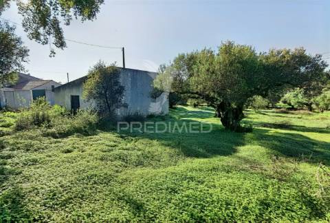 Terreno urbano localizado no pedrógão - torres novas