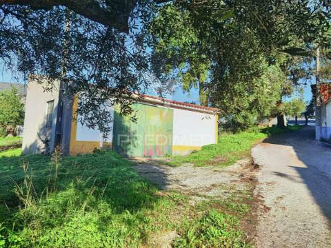 Terreno urbano localizado no pedrógão - torres novas