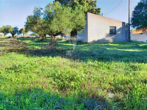 Terreno urbano localizado no pedrógão - torres novas