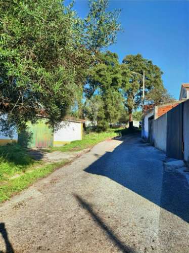 Terreno urbano localizado no pedrógão - torres novas