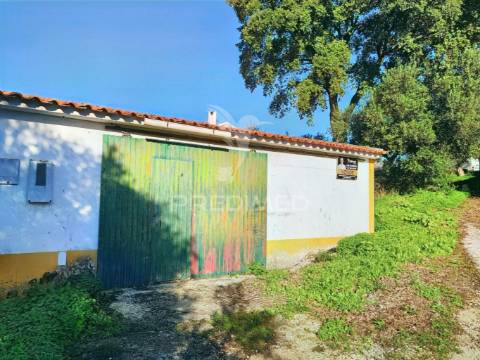 Terreno urbano localizado no pedrógão - torres novas