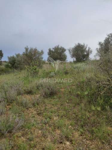 Terreno rústico - casais de advagar, achete