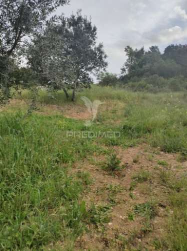 Terreno rústico - casais de advagar, achete