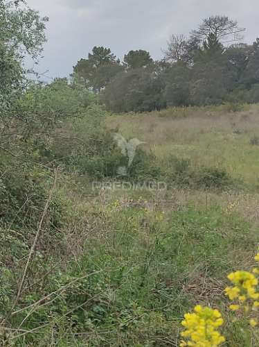 Terreno rústico - casais de advagar, achete