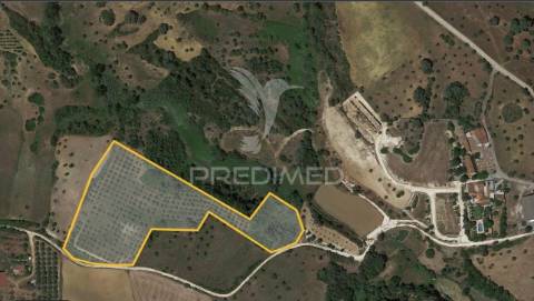 Terreno rústico - casais de advagar, achete