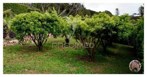 Quinta no lugar dos terreiros legalizada em a.l.