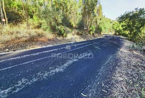 Terreno rústico , composto por eucaliptos / amiais d baixo