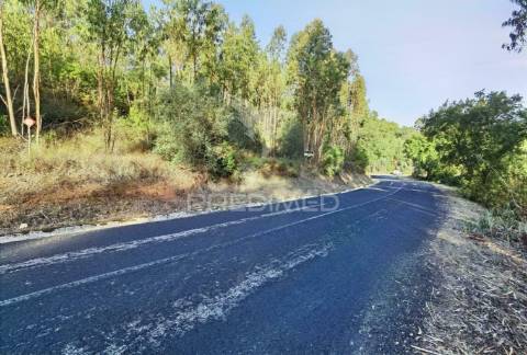 Terreno rústico , composto por eucaliptos / amiais d baixo