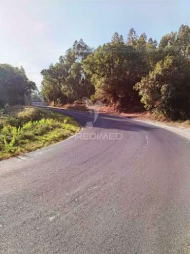 Terreno rústico , composto por eucaliptos / amiais d baixo