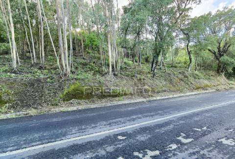 Terreno rústico , composto por eucaliptos / amiais d baixo