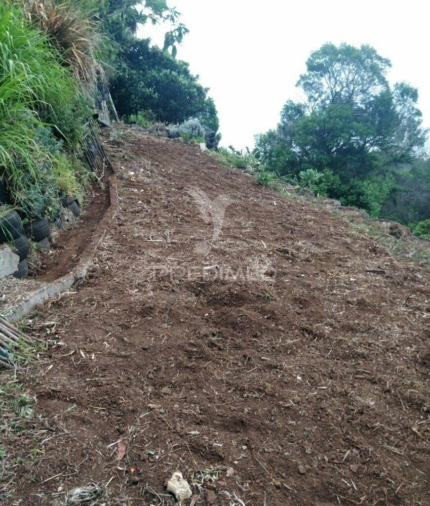 Terreno rústico em  água de  pena .