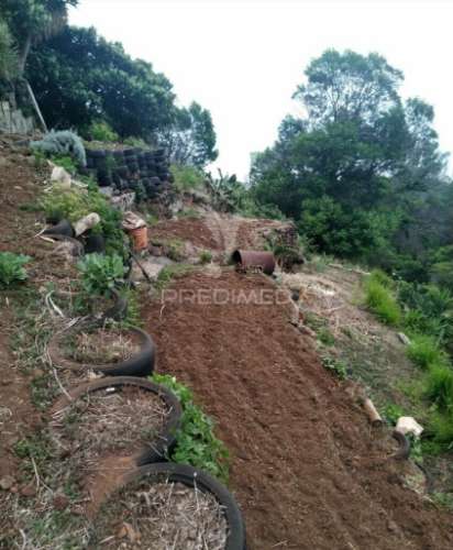Terreno rústico em  água de  pena .