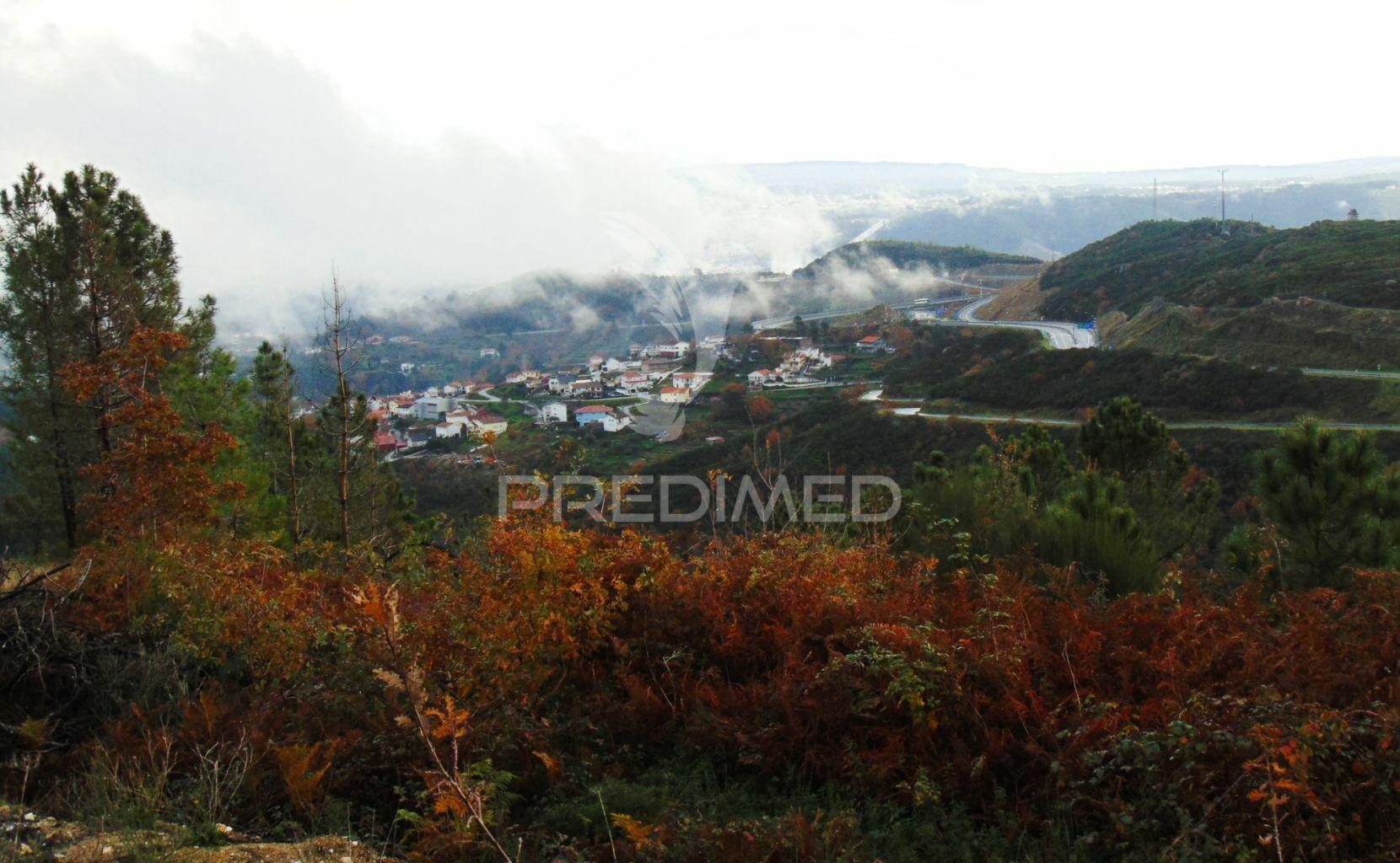 Terreno c/ 1,8 ha junto ao nó da a24/ip4 - 6 kms de vila real