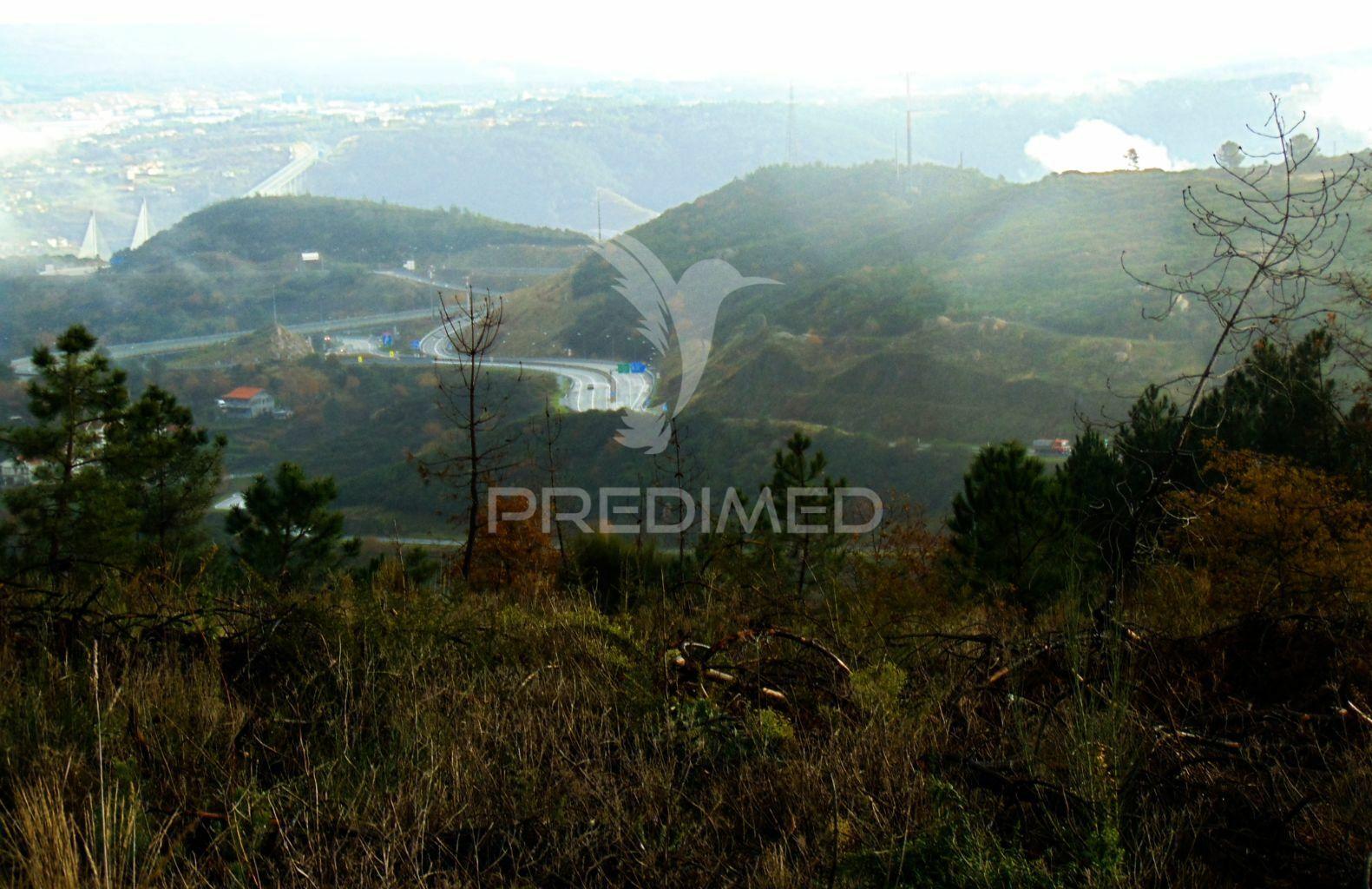 Terreno c/ 1,8 ha junto ao nó da a24/ip4 - 6 kms de vila real