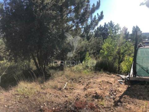 Terreno industrial em pelariga