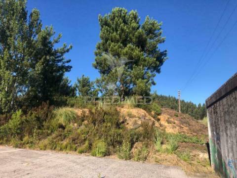 Terreno industrial em pelariga