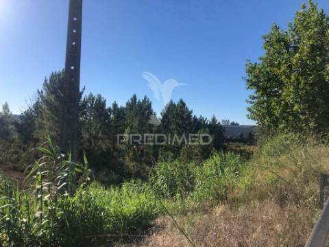 Terreno industrial em pelariga